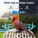 BYRANKE Bird Feeder with Camera, Bird Feeders for Outdoors with Solar Panel, Bird Feeder Camera with AI Bird Identification, Squirrel Proof Bird Feeders, Ideal Gift for Bird Lovers, Blue BYRANKE