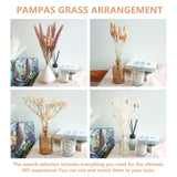 Total 104 pcs /11 Various Dried Pampas Grass Décor, White Pompous Grass, Bunny Tails Dried Flowers Reed Grass, 17 inch Pompass Grass for Flower Arrangements Boho Wedding Home Décor (Ivory White) Glamativity