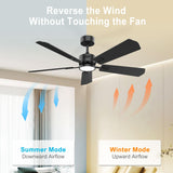 DAMINY 52 inch Ceiling Fan with Light,6CCT,5 Blade Ceiling Fan with Light,Low Profile Ceiling Fan with Light and Remote Control,Downrods,Black Ceiling Fan for Living Room,Indoor/Outdoor Use DAMINY