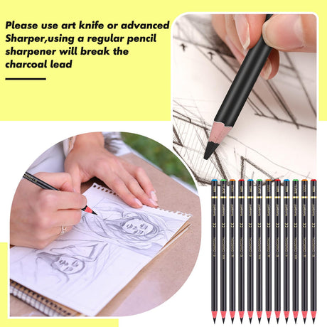 Resurhang 100 Pcs Charcoal Pencils Drawing Set, Charcoal Pencils bulk for Drawing Sketching Shading Blending Portrait Beginners and Artists(Black,Super Soft, Soft, Medium and Hard) Resurhang