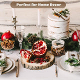 10 Pcs Large Unfinished Wood Slices for Centerpieces, 7-9 inches Wood Rounds for Crafts, Decor Rustic Wood Circles for DIY Crafts, Wedding Decor, Round Wooden Discs Wood Slice Ornaments CYEAH