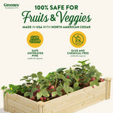 Greenes Fence Original Pine Raised Garden Bed, 2' x 4' x 10.5" - Made in USA with American Pine Greenes Fence