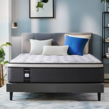 Queen Mattress, 12 Inch Bed in a Box, Cooling Memory Foam Pillow Top, Individually Pocket Coils for Motion Isolation, Medium Firm Support, Body Pressure & Back Pain Relief, CertiPUR-US Certified Marine Moon