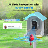 DOCOON Smart Bird Feeder with Camera, 2K HD AI Identify Birds Species, Bird Watching Camera with Solar Panel, Auto Capture Bird Videos & Instant Notifications, Ideal Present for Bird Lover, Blue DOCOON