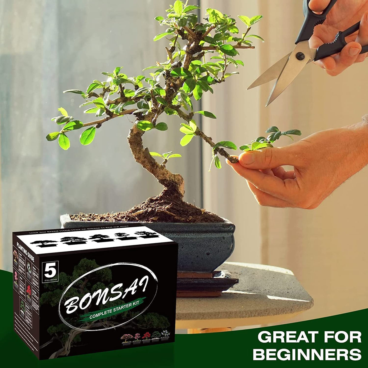 Meekear 5 Bonsai Tree Kit Complete Plant Growing Tools, Grow in Pot Indoor Bonsai Tree Starter Kit, Great Home Gardening Potted Plants DIY Gift for Adults Meekear