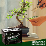 Meekear 5 Bonsai Tree Kit Complete Plant Growing Tools, Grow in Pot Indoor Bonsai Tree Starter Kit, Great Home Gardening Potted Plants DIY Gift for Adults Meekear