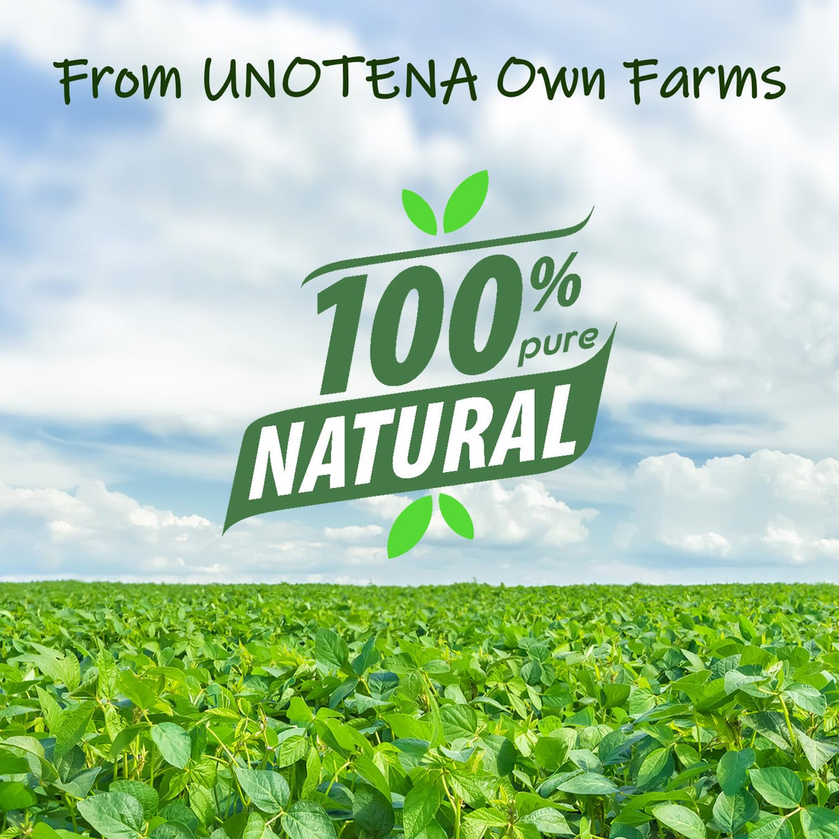 UNOTENA Soy Wax Flakes for Candle Making, Natural Candle Wax, Farm-Sourced, No Additives, Safe and Pure, 5LB UNOTENA