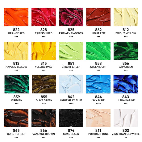 Paul Rubens Oil Paint, 20 Colors*50ml LargeTubes, Professional Oil Colors with High Saturation, Creamy Texture and Consistency,Art Supplies for Artists, Students, Beginners-B Set Paul Rubens