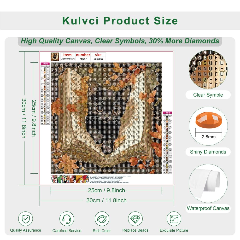 Kulvci Black Cat Diamond Painting Kits for Adults, Diamond Art Kits for Beginners, 5D DIY Full Drill Gem Craft for Home Decor Gift 12x12inch Kulvci