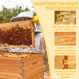 Honey Lake 8 Frame Assembled Bee Hive Super Box, Langstroth Beehive Starter Kit for Beekeepers, Medium Super Bee Box Dipped in 100% Beeswax Includes Beehive Frames and Waxed Foundations Honey Lake