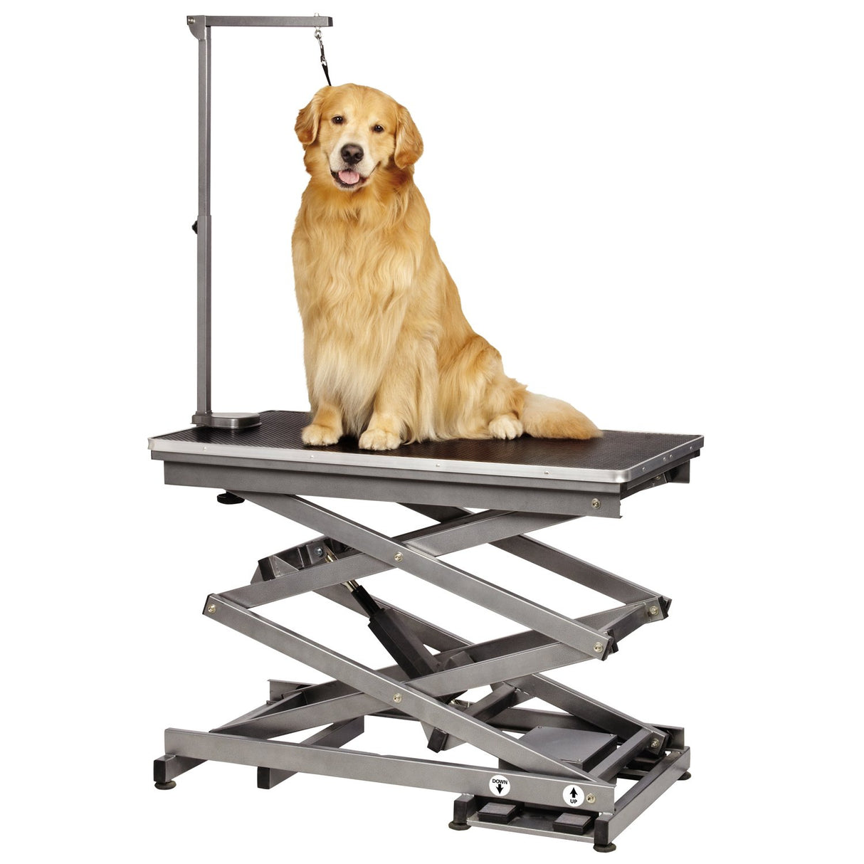 Master Equipment X-Tend Electric Grooming Table, Black Master Equipment