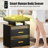 Nightstand with Charging Station and LED Lights, Night Stand with 2 Drawers, Wood Smart Bedside Table, Modern Bed Side Table for Bedroom, Black QPLZF