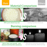 SAEUYVB Candle Making Kit with Wax Melter, Candle Wax for Candle Making - DIY Candle Making Supplies, Including 2lbs Soy Wax Flakes, Melting Pot, Electric Stove,Candle Kit for Adults, Beginnner SAEUYVB