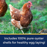 Pampered Chicken Mama Best Eggs Ever! Nesting Herbs for Chickens (10 Ounces) Calcium Supplement for Chickens | Chicken Feed Supplies, Hen Treats for Coops Pampered Chicken Mama