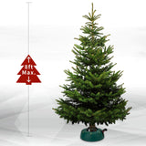 JILUVA Christmas Tree Stand with Water Reservoir, Foot Press Easy Setup, Fits up to 8ft Real Tree with 5.1" Diameter, Equipped with Water Level Indicator, No Assembly Needed JILUVA