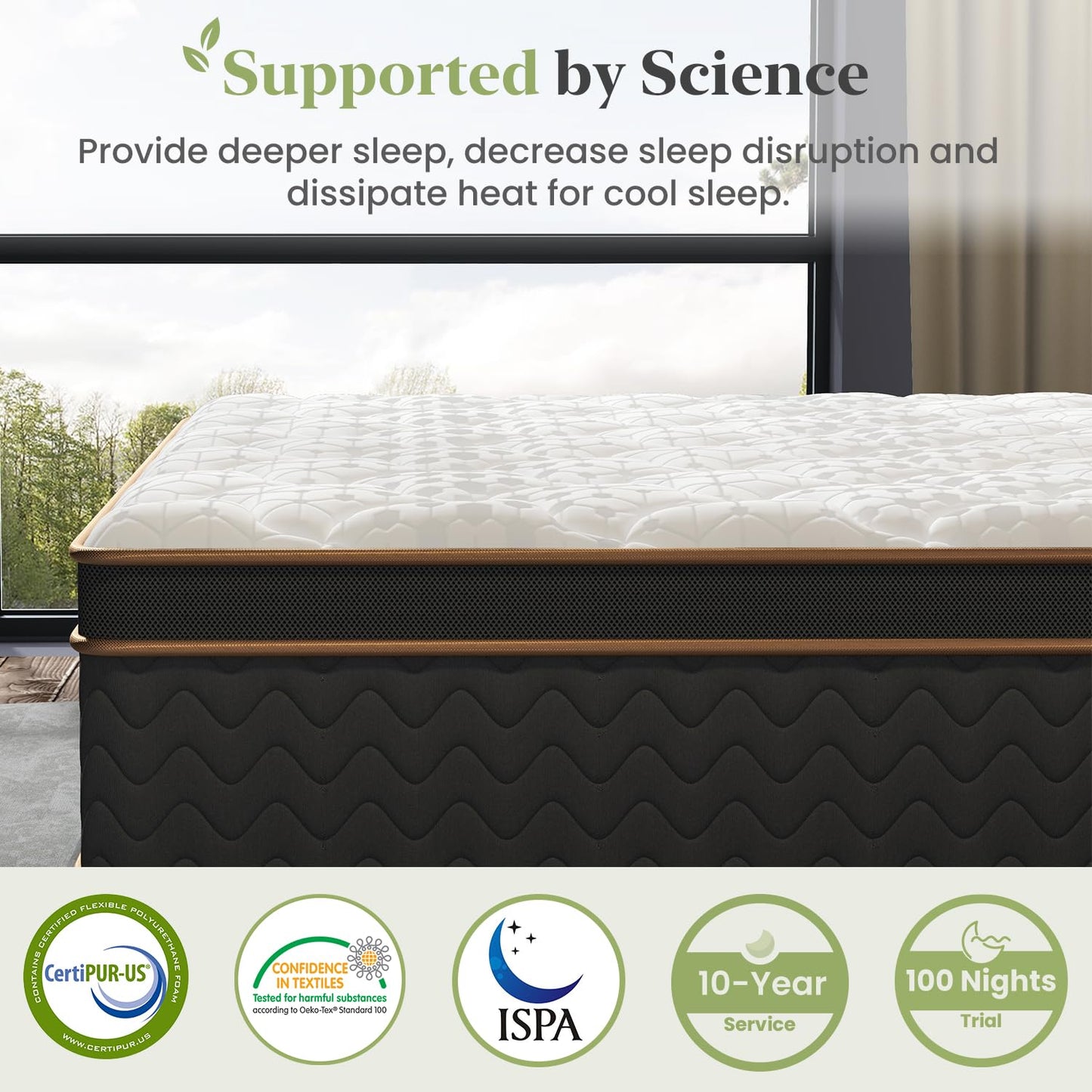 FP Flexpedic Queen Mattress, 14 Inch Plush Hybrid Mattress with Gel Memory Foam, Fiberglass-Free Mattress in a Box, Individual Pocket Spring-Motion Isolation-Edge Support, 100 Nights Trial,CertiPUR-US