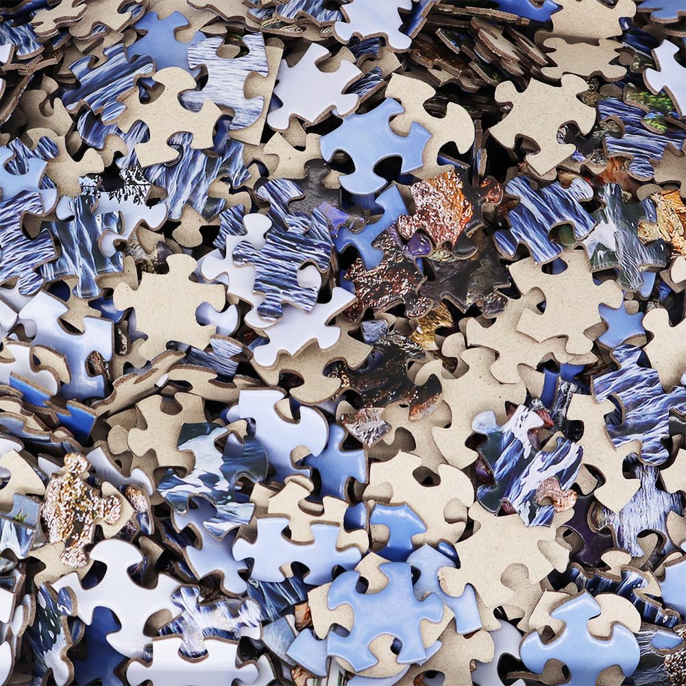 BEDUKE Jigsaw Puzzles for Adults 1000 Pieces Acadia National Park 1000 Piece Puzzle Age 14+ Thick Sturdy Cardboard Precise Interlocking Family Game BEDUKE