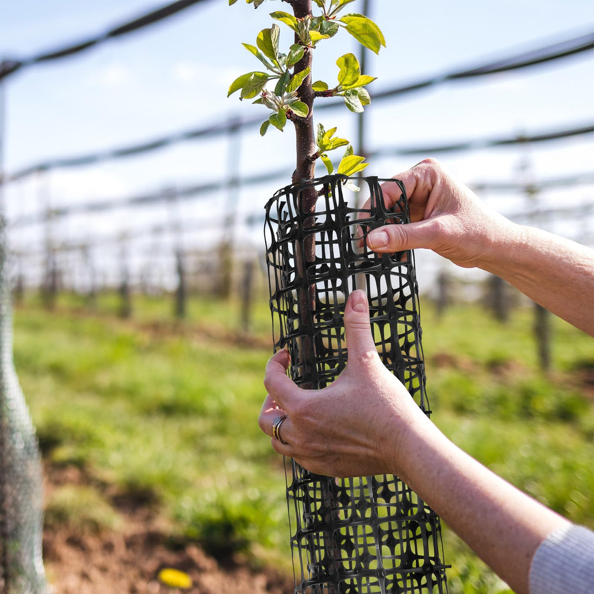Preboun Plastic Mesh Fence 2 x 164 ft Plastic Safety Fence Roll Reusable Animal Construction Barrier Netting Temporary Pool Fencing Snow Fence for Construction Animal Garden Fencing(Black) Preboun