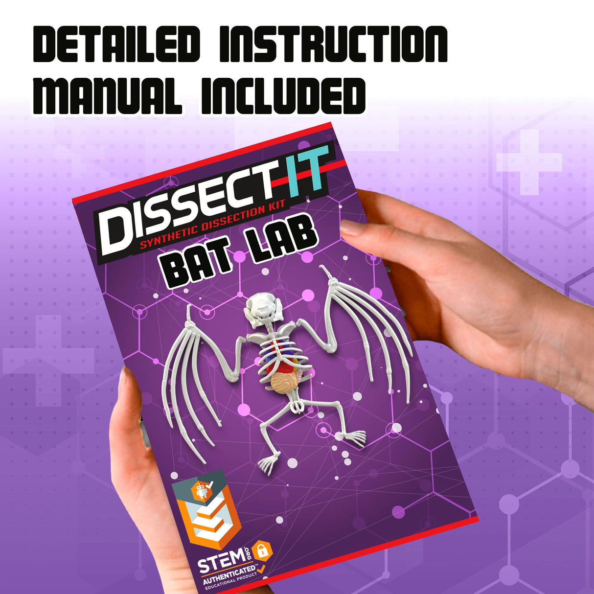 Dissect-It Simulated Synthetic Lab Dissection Toy, STEM Projects for Kids, Animal Science, Biology, and Anatomy Home Learning Kit, Bat Dissect It