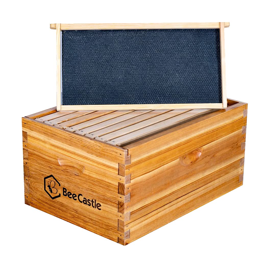 BeeCastle Heavy Wax Coated Langstroth Unassembled Deep/Brood Box with Frames and Beeswax Coated Foundation Sheet (8 Frame) BeeCastle