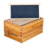 BeeCastle Heavy Wax Coated Langstroth Unassembled Deep/Brood Box with Frames and Beeswax Coated Foundation Sheet (8 Frame) BeeCastle