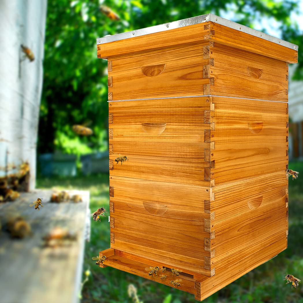 Honey Lake 10 Frame Bee Hive, Bee Hives Boxes Starter Kit for Beekeepers Dipped in 100% Beeswax, Beehive Kit Include 2 Deep Brood Box & 1 Medium Super Bee Box with Beehive Frames and Waxed Foundation Honey Lake