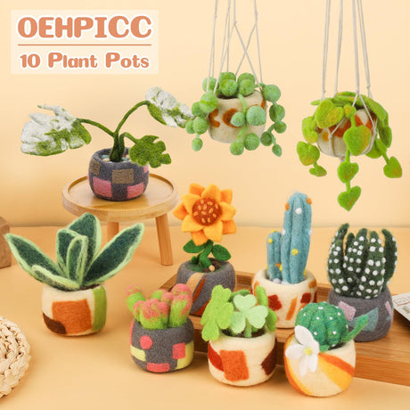 OEHPICC Needle Felting Kit - 10 Pack Plant Pot Needle Felting Starter Kit, Felting Kits with Basic Felt Tools, Clear Instructions for Beginner Adult Craft Kit, DIY Craft Plant Decor Present OEHPICC