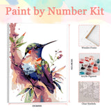 Auremi Hummingbird Paint by Number Kits for Adults,Animal Paint by Number on Canvas with Frame DIY Painting with Number Acrylic Oil Paint Kits for Home Decor 8x12 Inch Auremi