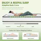 PayLessHere 6 Inch Hybrid Mattress with Innerspring and Foam/Fiberglass Free/Medium Firm Spring Mattress/Queen Size Mattress in a Box/CertiPUR-US Certified/Cool Sleep Pressure Relief PayLessHere