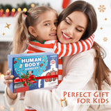 Human Body Activities & Experiments Science Kit for Kids,Human Anatomy Body Parts with Broken Bones X Ray,Lung Breathing Model, Vessels, Digestive System,Muscles Model,Skeleton,Human Organ STEM 5+ VMNlooking