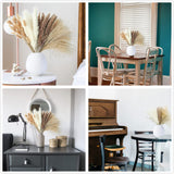 Dried Pampas Grass Decor, 100 Stems Pampas Grass Contains Bunny Tails Dried Flowers, Reed Grass Bouquet for Wedding Boho Flowers Home Table Decor, Rustic Farmhouse Party (17", White and Brown) ANPROOR