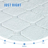 10" Queen Mattress, 10 Inch Hybrid Mattress with Comfort Support Memory Foam, Pressure Relief and Motion Isolation, Medium Firm, Mattresses in A Box AYJOIR