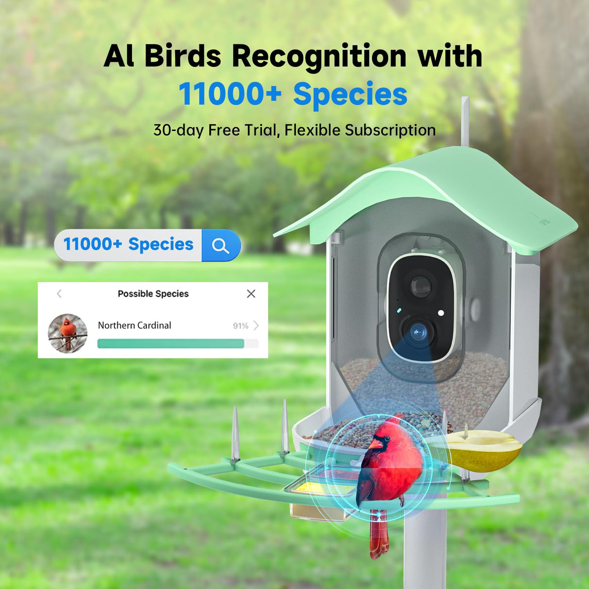 Bird Feeder with Camera, Smart AI Bird Breed Recognition, 1080P Bird Watching Camera with Solar Panel, Auto Capture Bird Videos & Instant Notifications, Ideal Gift for Bird Lover Green DOCOON