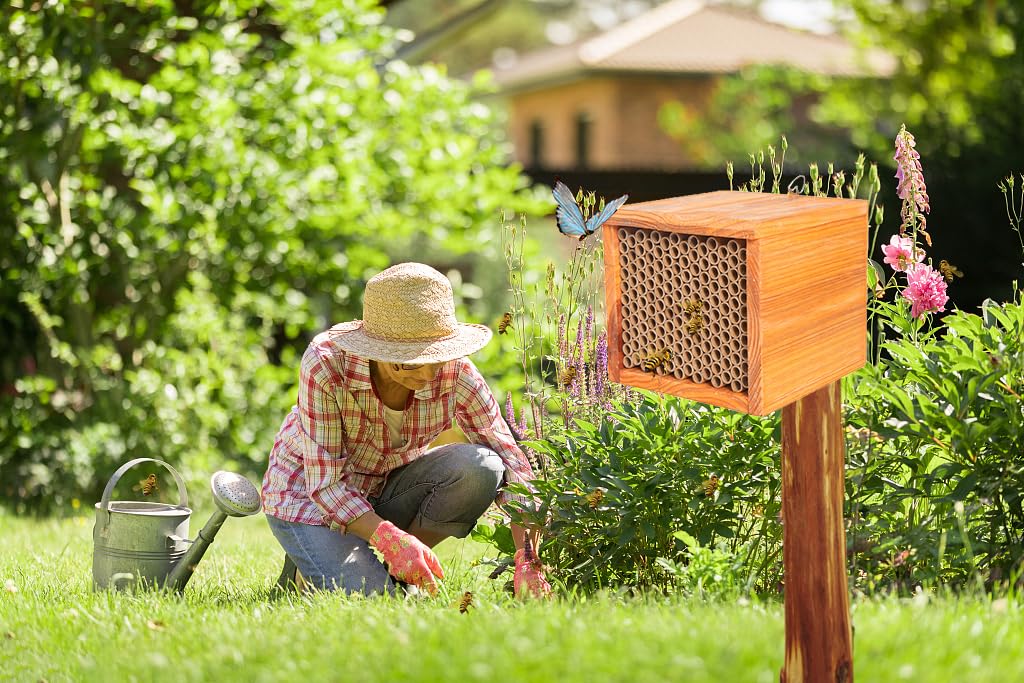 Mason Bee House Wax Coated Bee Hive,Carpenter Bee House for The Garden, Solitary Bee Hotel Waterproof,Natural Handmade Wooden Mason Bee Box Tiny Home,Attracts Peaceful Bee Pollinators,Bee Kee - WoodArtSupply