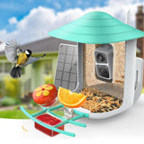 DELOTA Bird Feeder with Camera, Smart Bird Feeder Camera with Ai dentify Bird Species, Auto Video Bird Feeder Camera Live Motion Activated, Bird Feeder with Camera for Outdoor (Green) DELOTA