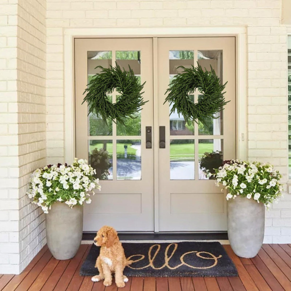 ENVEN 2 Pack 24" Norfolk Pine Wreath for Front Door, Artificial Christmas Wreath Faux Pine Green Wreath for Wall Windows Mantle Outdoor Outside Christmas Decoration ENVEN