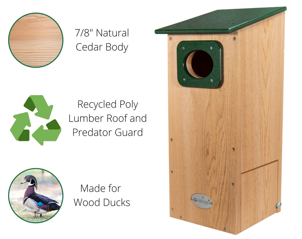 JCs Wildlife Cedar Wood Duck Nesting Box with Poly Lumber Roof - Mount in or at The Water's Edge to Attract Wood Ducks Nearby - Equipped with Clean Out Door and Drainage Holes (Green) JCs Wildlife
