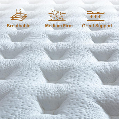 Tegeniss Queen Mattress, 12 Inch Queen Size Mattress in a Box,Memory Foam Hybrid Mattress,with Individual Pocket Spring for Motion Isolation & Silent Sleep, Pressure Relief,Plush Firmness.