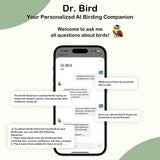 Camojojo Bird Feeder with Camera of 32MP Photo & 4K Video, Smart Bird Feeder with AI Identify, 10000mAh Built-in Battery, Full-Color Night View, 32 SD, IP66, 2.4G/5G Dual WiFi Wireless, Live Function Camojojo