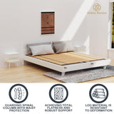 NobleRealm® Foldable Box Spring Queen | Queen Size Bunkie Board & Bed Support Slats | Bed Board for Mattress Support | Easy Setup, Correct Sleeping Posture, Reduce Backache (58.5X 64 Queen Size) Noble Realm