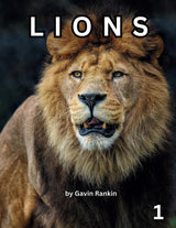 LIONS: A first coloring book of magnificent Lions for you to color at your leisure while relaxing and relieving any stress you may have. Majosta
