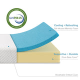 ZINUS 8 Inch Green Tea Cool Feel Memory Foam Mattress, Twin, Mattress in A Box with Compact WONDERBOX Packaging, CertiPUR-US Certified Zinus