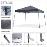 MASTERCANOPY Portable Pop Up Canopy Tent with Large Base (10x10,Dark Gray) MASTERCANOPY