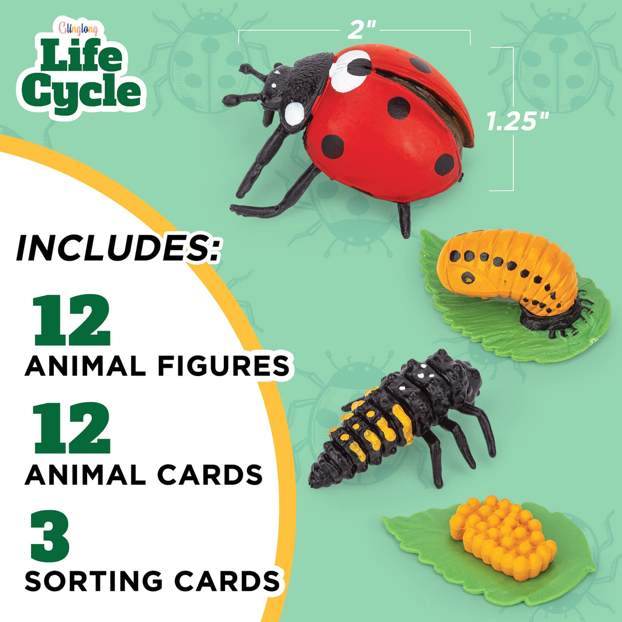 Life Cycle Animal Kit - 12-Piece Montessori Science Toy with Frog, Ladybug & Butterfly Figures. Matching Game & Educational Gift for Kids Ages 3 4 5 6 7 8 GLINGLONG