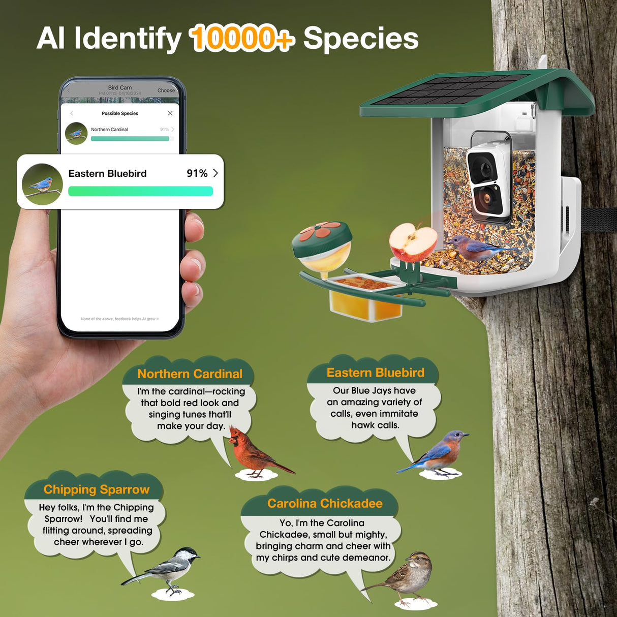 WOSPORTS Bird Feeder with Camera Solar Powered,Wireless Smart Bird Watching Camera,AI Identify 10000+ Bird Species,1080P HD Camera Auto Capture Videos,Instant Notifications,Ideal Gift for Bird Lover WOSPORTS