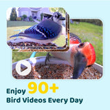 NETVUE by Birdfy Smart Feeder with Camera Solar Power, Smart Birdwatching Camera, Auto Capture Videos & Notify, Ideal Gift for Family NETVUE