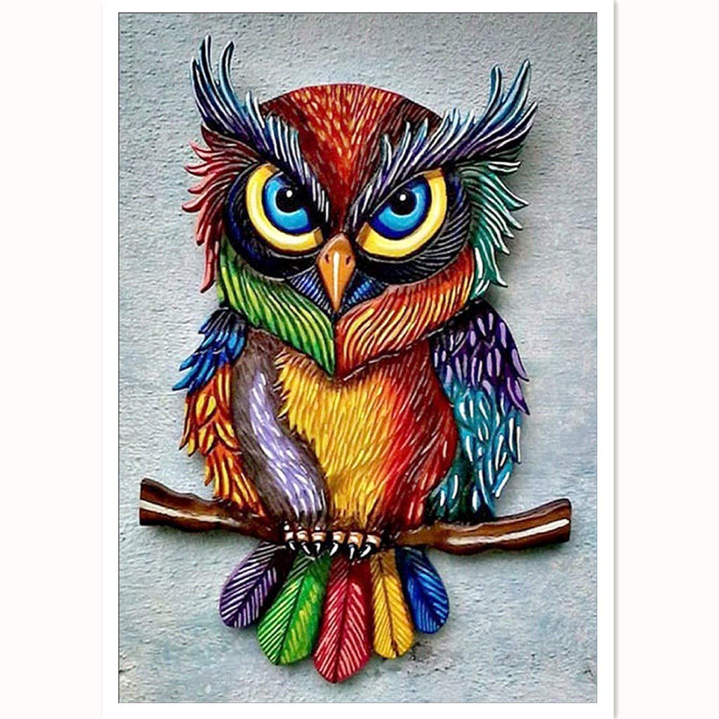 SUNKOO DIY Diamond Art Painting Kit for Adults - Full Drill Owl With Rainbow Big-Eyes - Rhinestone Kit for Home Wall Decor, 1216 Inches SUNKOO