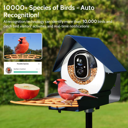 Birdkiss Smart Bird Feeder with Camera, AI Identify Bird Feeder Camera with Solar Pannel, Auto Capture Bird Full HD Videos & Instant Notification, - WoodArtSupply