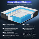 FAYAMORE Queen Mattress 10 Inch - Hybrid Mattress Queen Size in a Box with Pocket Spring and Soft Foam, Advanced Motion Isolation, 100 Nights Risk-Free Trial FAYAMORE