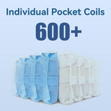 WUYOTRE Queen Size Mattress, 10 Inch Memory Foam Hybrid Mattress in a Box-Enhanced Support with Thicker Coils, CertiPUR-US Certified & Cooling Fabric - Back Pain Relief, Motion Isolation, Medium WUYOTRE